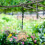 Wrought Iron Birdcage Feeder with Transparent Window 6