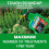 Roundup Roundup Tough Ready to Use Weedkiller 1L Plus 20% Extra Value 7