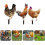 Acryl gras kippen tuindecoratie 3