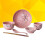 Japanese-style ceramic dinnerware set pink 6-piece 5