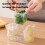 Stackable Kitchen Storage Box with Draining Hole 12-Pack 4