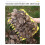 Gartenrechen für Laub und Grasschnitt 3