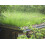 Wildflower Turf Garden Roof - 10 pack 1