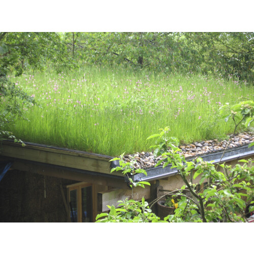 Wildflower Turf Garden Roof - 10 pack