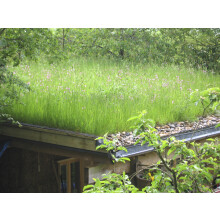 Wildflower Turf Garden Roof - 30 pack