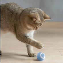 Giocattolo elettrico per gatti CatChase, blu