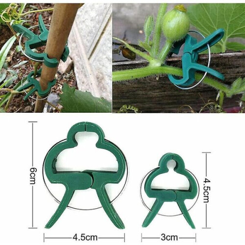 High Quality-100pcs Plant Ties Reusable Tomato Ties