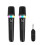 1 to 2 Wireless Microphone with Receiver  AI Speaker Microphone Multi Sound Effect Mixer System for Karaoke Black 1