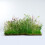 Wildflower Turf Garden Roof - 30 pack 2