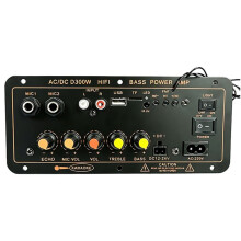 Auto Digitale  Audio Versterker Bord Ondersteunt Dubbele Microfoon AC 220V  12-24V Versterker Bord EU Plug