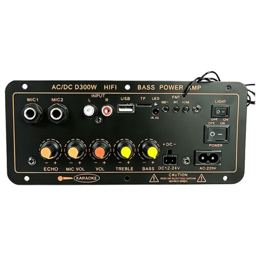 Scheda Amplificatore Audio  Digitale per Auto Supporta Doppio Microfono AC 220V  12-24V Scheda Amplificatore EU Plug