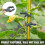 High Quality-80 pcs Adjustable Plant Support Clamps Garden Tools 4