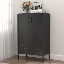 Black Steel Storage Cabinet with 2 Doors & 2 Adjustable Shelves, Multifunctional Cabinet for Living Room, Kitchen, Bedroom, Garage Tool