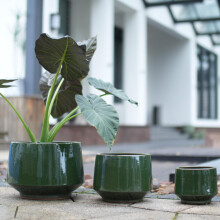 3-teiliges handgemachtes Keramikpflanztopf-Set (Ø 38,1/28/22,9 cm), dunkelgrüne Glasur, musterlos, ideal für Fensterblatt/Geigenfeige,
