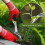 LINJOU hand weeding tool, 2-piece hand weeding tool set 1