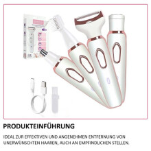 Set de vaporizador, afeitadora femenina cuatro en uno
