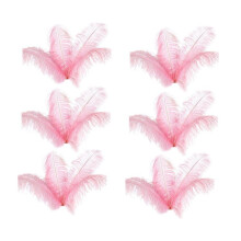 60 Pcs Natural Ostrich Feathers Wedding Party Decoration 20-25cm