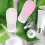 Portable Travel Bottles Green Practical Design 60ml 4Pcs 5