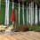 Tuinkransen, wit, 50 meter. 4