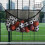 Pool storage bag - large foldable net for inflatables 5