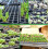 Conjunto de 4 caixas de plástico para mudas de plantas com 24 células cada. 5