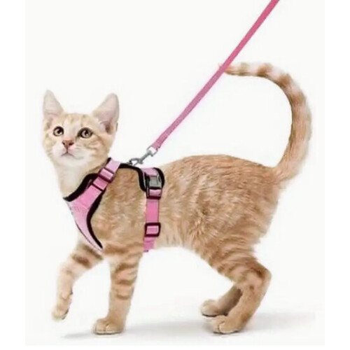 Coleira ajustável para gatos, rosa