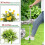 Extrator de ervas daninhas verde com cabo de 99 cm (39 polegadas) 5