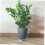 Supporto per vaso da fiori con ruote 3