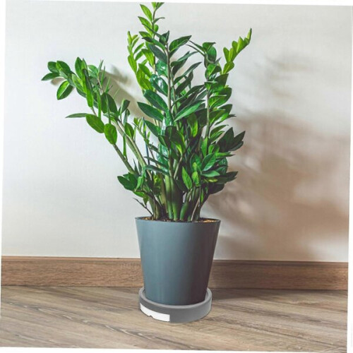 Supporto per vaso da fiori con ruote 2