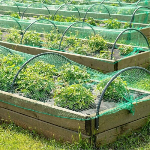 3 τεμάχια πράσινο δίχτυ για πουλιά για προστασία φυτών 1