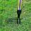 Weed Puller Stand- Tool with Engineering Plastic Weeding  and Foot Pedal Garden Grass Root Remover Shovel 6