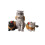 Dierenbenodigdheden Carnaval Warm Carnaval Puppy Ka 5