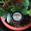 Waterproof Soil PH & Moisture Tester with Long Electrode Probe 6