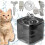Fontana automatica per cani e gatti, 2 litri 4