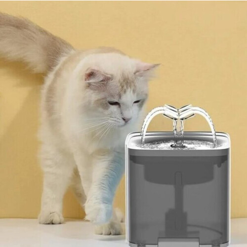 Fontana automatica per cani e gatti, 2 litri 2