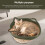 Ninho de gato verãoCorVerde 4