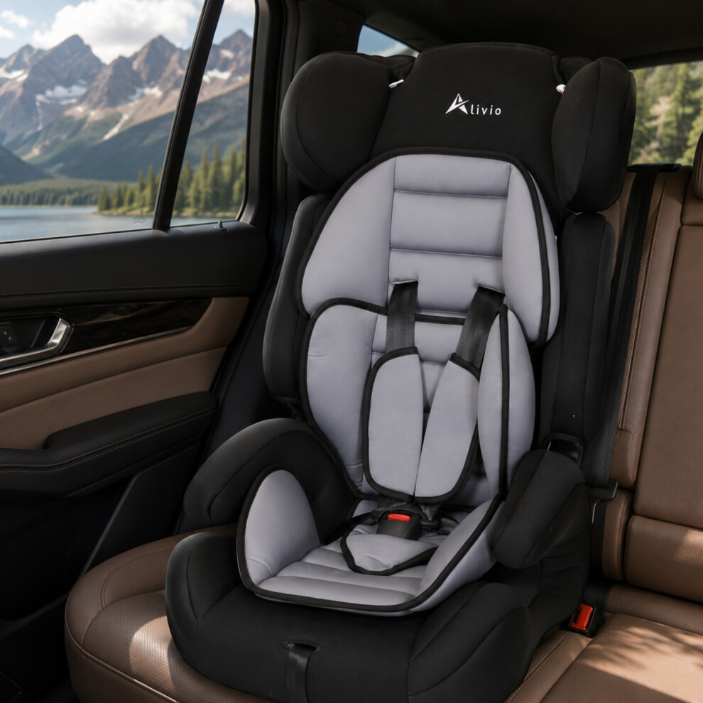 Alivio Adjustable Padded Car Seat For Toddlers