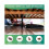 roach control bait stations 12pcs for home use 2