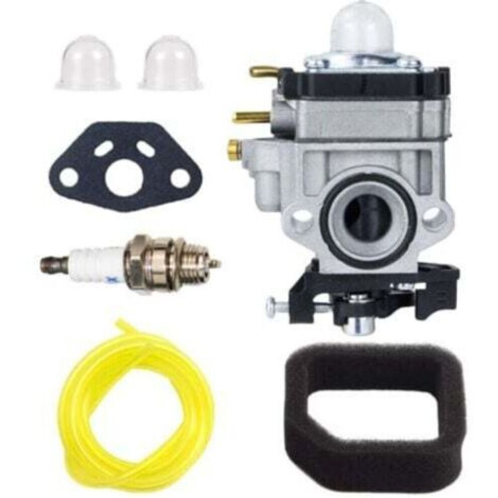Carburetor 308054121 For Ry25 Ry25axb Ry25axbvnm 25Cc Jet Blower 5200095901106