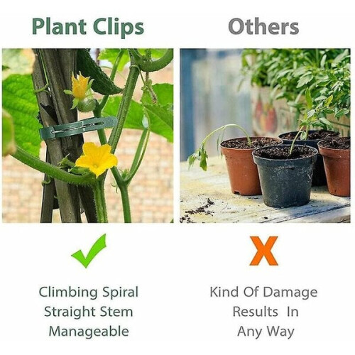 High Quality-100pcs Plant Ties Reusable Tomato Ties 2