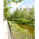 Wildflower Turf SuDS Turf - 30 pack 1