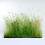 Wildflower Turf SuDS Turf - 30 pack 2