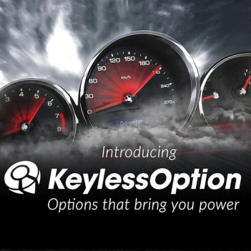 High Quality Brand New Keyless Entry Remote Start From 1