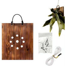 Staghorn varen montage kit, muurplanter, 20x25 cm - voor keuken en hal, rustiek, voor luchtplanten