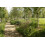 Wildflower Turf Shade Tolerant - 10 pack 2