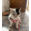 Coleira ajustável para gatos, rosa 3