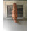 Adult Dinosaur Inflatable Costume 4
