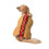 Dierenbenodigdheden Carnaval Warm Carnaval Puppy Ka 3