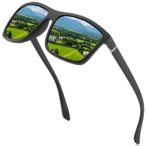 Herren-Sonnenbrille V88BL, schwarz 2