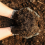 Rolawn Compost Soil Improver Bulk Bag 2